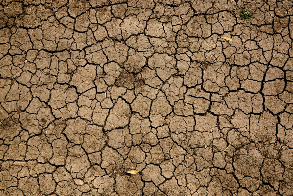 drought